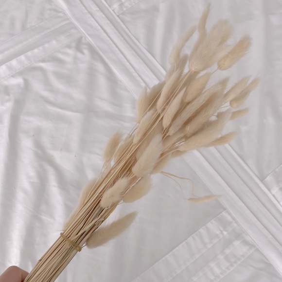 Bundle of bunny tails - Picture 1 of 1